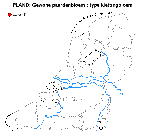 klettingbloem